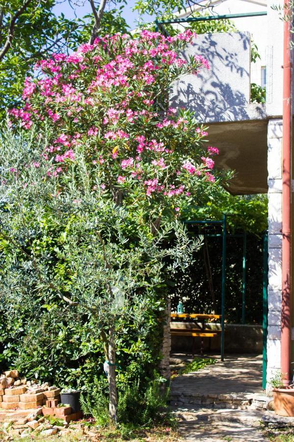 Bilini Garden Apartment Pula Exteriér fotografie