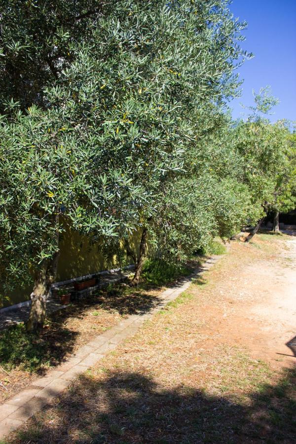 Bilini Garden Apartment Pula Exteriér fotografie